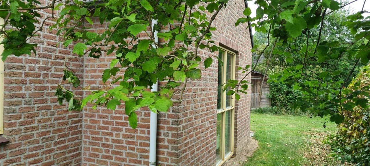 Forestview 'Queenstown' 6 Pers Very Child-Friendly By Kawatea Cottages (Adults Only) Ewijk Exteriör bild
